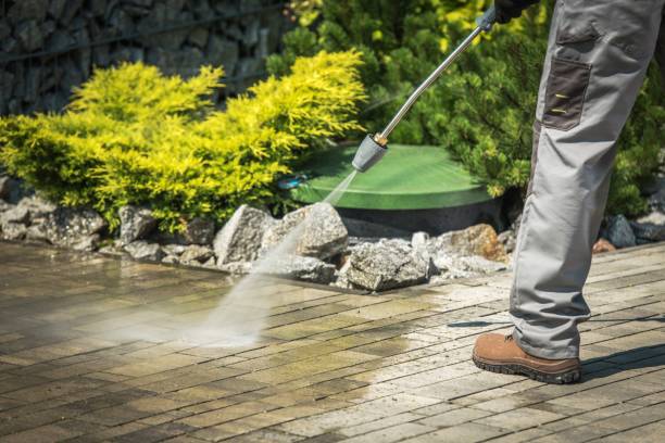 Best Pre-Holiday Cleaning  in Mexia, TX